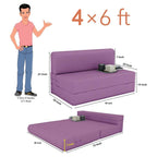 Modern Home Furniture | Fold Out Sofa Cum Bed | 2 Seater Sofa | Sofa for Living Room, Home & Office Furniture