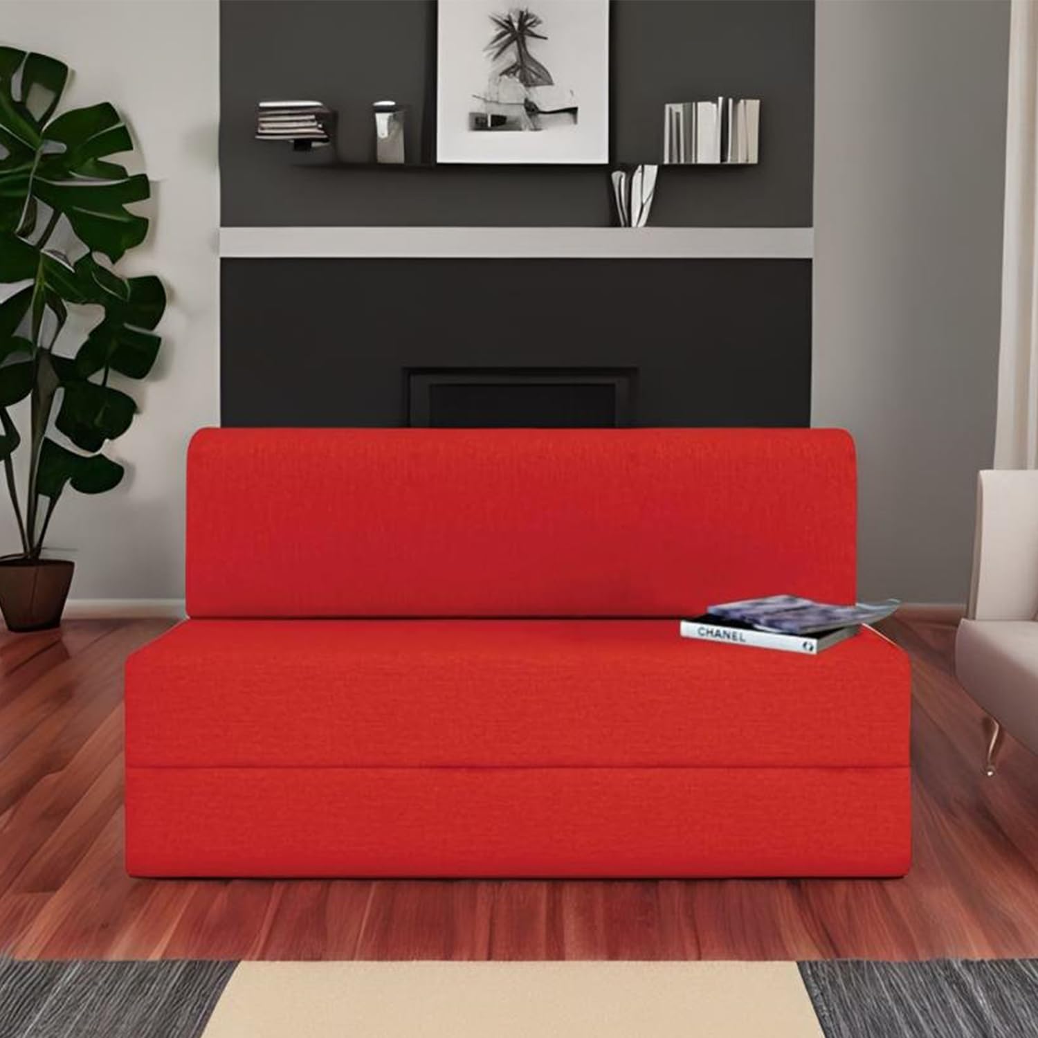 Modern Home Furniture | Fold Out Sofa Cum Bed | 2 Seater Sofa | Sofa for Living Room, Home & Office Furniture